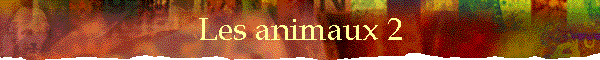 Les animaux 2