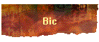 Bic