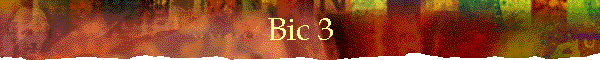 Bic 3