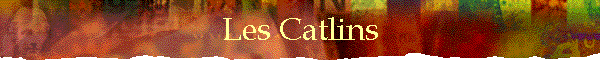 Les Catlins